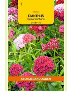 Zaden Dianthus Barbatus Enkel Gemengd