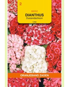 Zaden Dianthus Duizendschoon Laag Gemengd 