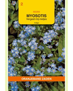 Zaden Myosotis Vergeet-mij-niet Indigo Blauw