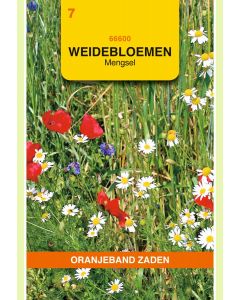 Zaden Weidebloemen Gemengd