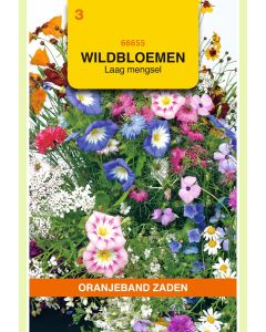 Zaden Wildbloemen Eenjarig Laag Gemengd