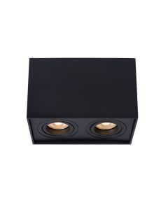Plafondspot Tube 2-spots