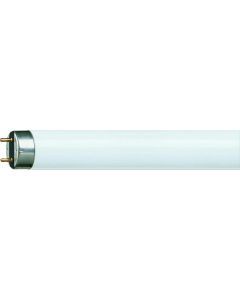 TL-buis 58W/840