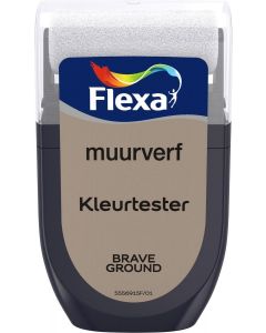 Muurverf kleurtester brave ground