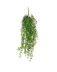 Ficus hangend 81 cm