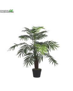 Palm in pot groen - h100xd70cm