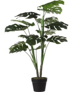 Monstera in pot groen - h100xd70cm