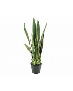 Kunstplant Sansevieria 79 cm