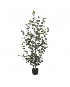 Kunstplant Eucalyptus 150 cm