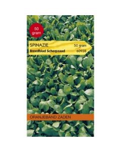 Oranjeband zaden spinazie breedblad zomer scherpzaad