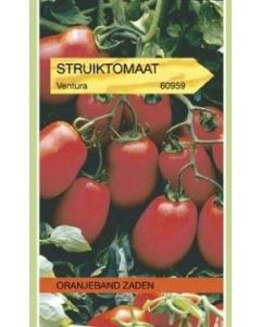 Oranjeband zaden tomaten red hunter / ventura