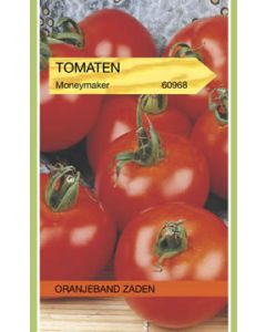 Oranjeband zaden Tomaten moneymaker