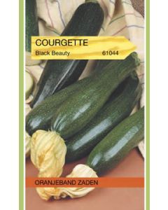 Oranjeband zaden Courgette black beauty