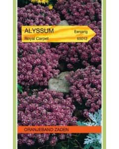 Oranjeband zaden alyssum royal carpet
