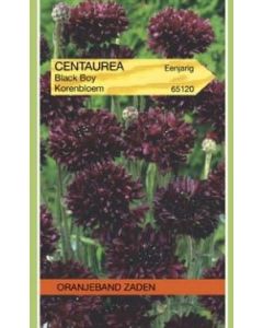 Oranjeband zaden centaurea cyanus black boy