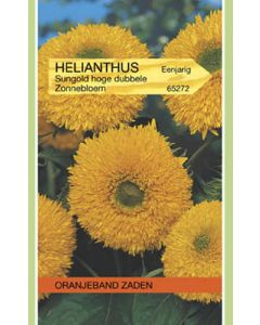 Oranjeband zaden helianthus annuus sungold hoog
