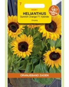 Oranjeband zaden helianthus sunrich orange f1