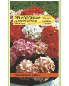 Oranjeband zaden pelargonium zonale f2 gemengd