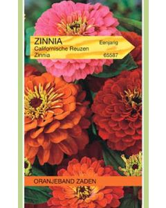 Tuinplus zinnia californische reuzen gemengd