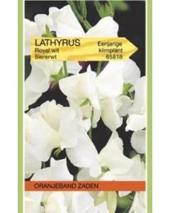 Oranjeband zaden lathyrus odoratus royal wit