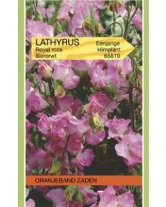 Oranjeband zaden lathyrus odoratus royal rose