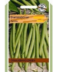 Oranjeband zaden stamslabonen paloma 050g