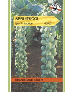 Oranjeband zaden Spruitkool igor f1 hybride