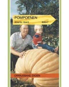 Oranjeband zaden pompoenen atlantic giant