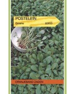 Zaden Postelein Groene