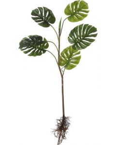 Monstera met wortels groen 124 cm