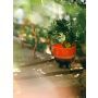 Retro flower pot cherry red thumbnail