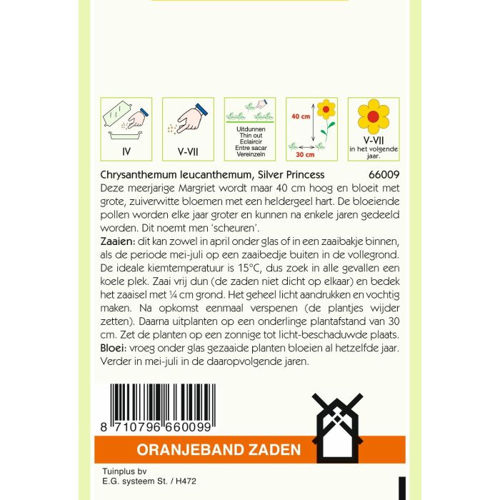Zaden Chrysanthemum Little Princess